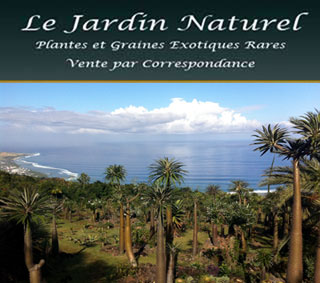 Plantes et Graines Tropicales