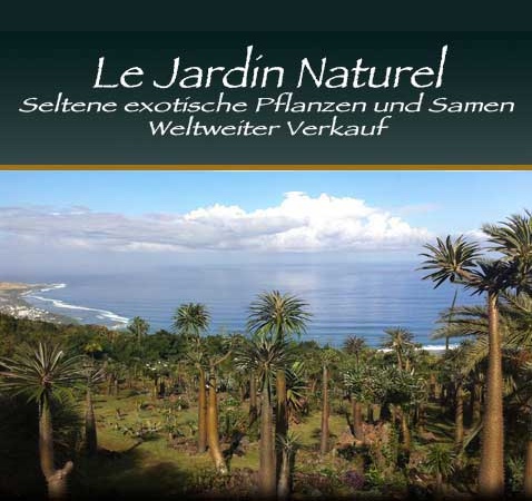 Tropical plants and seeds
