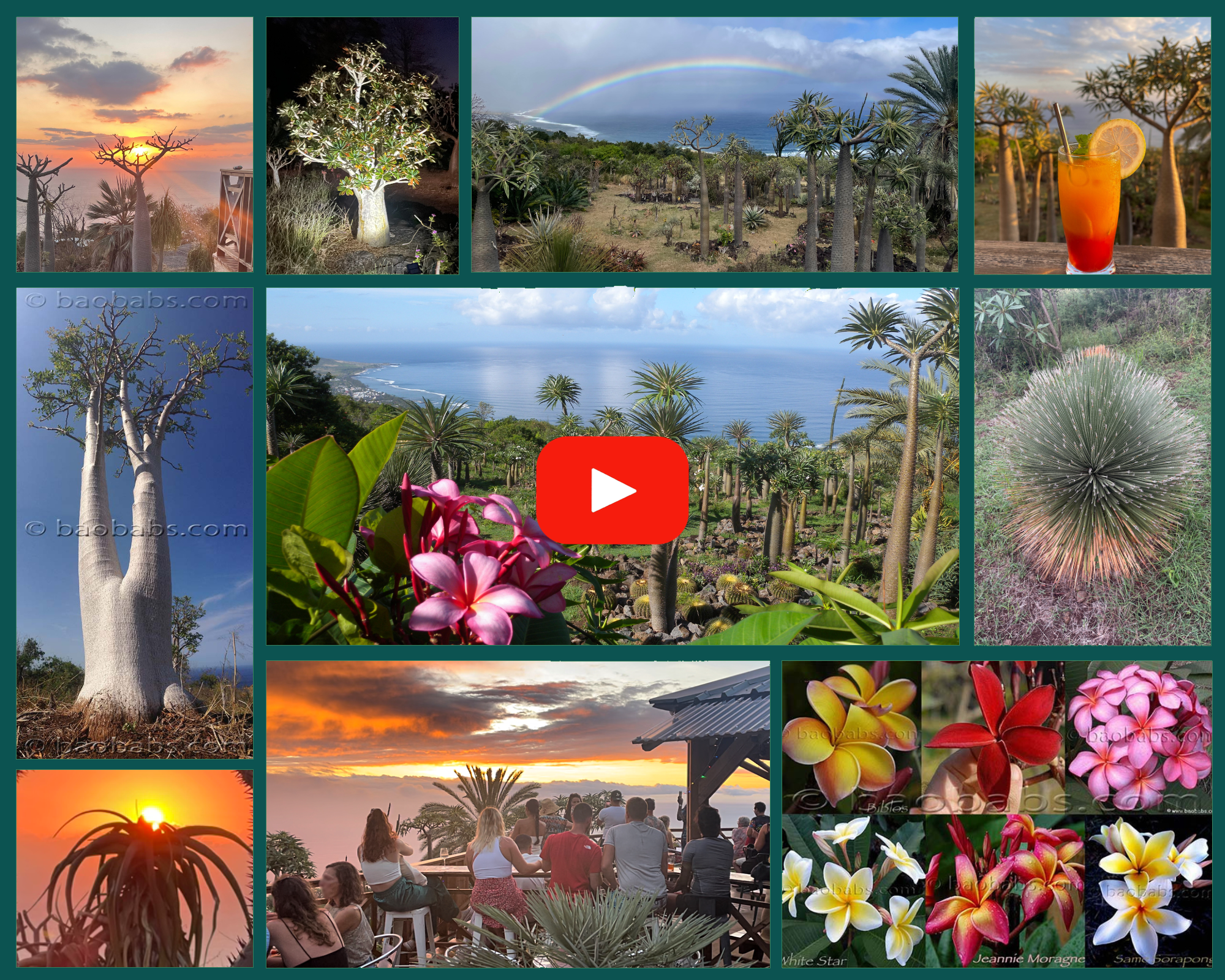 Le Jardin Naturel