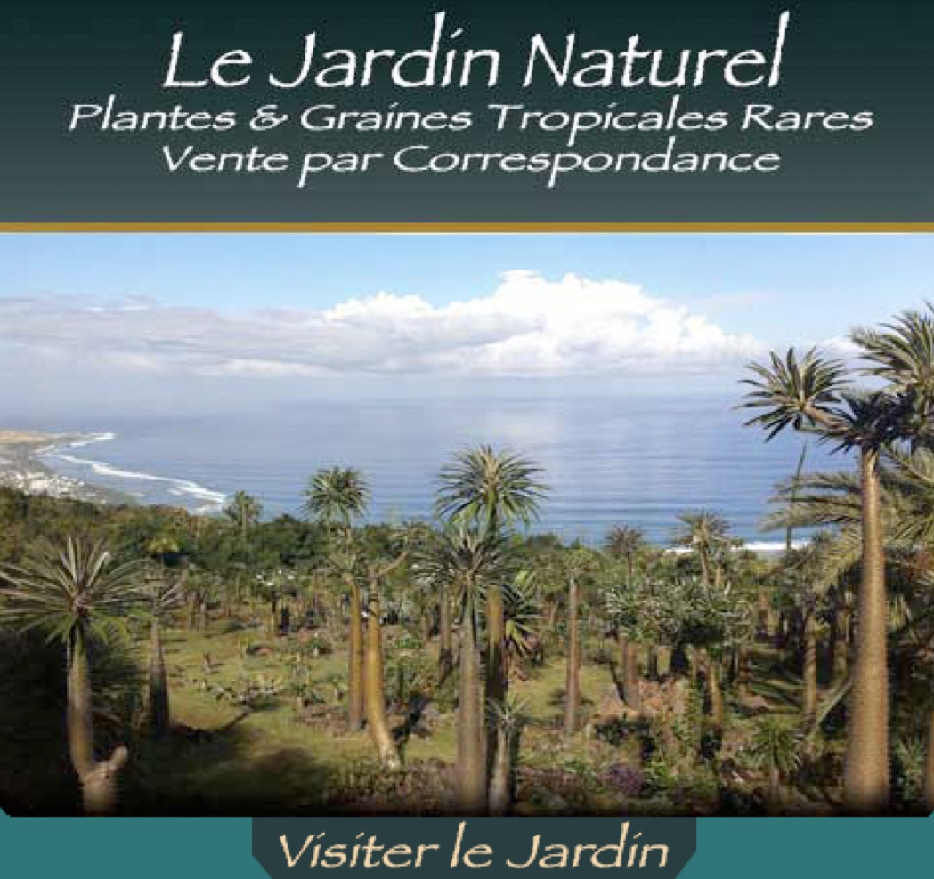 Plantes et Graines Tropicales