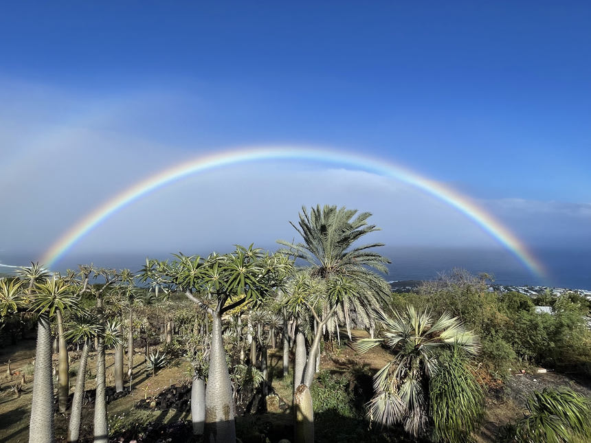 Rainbow