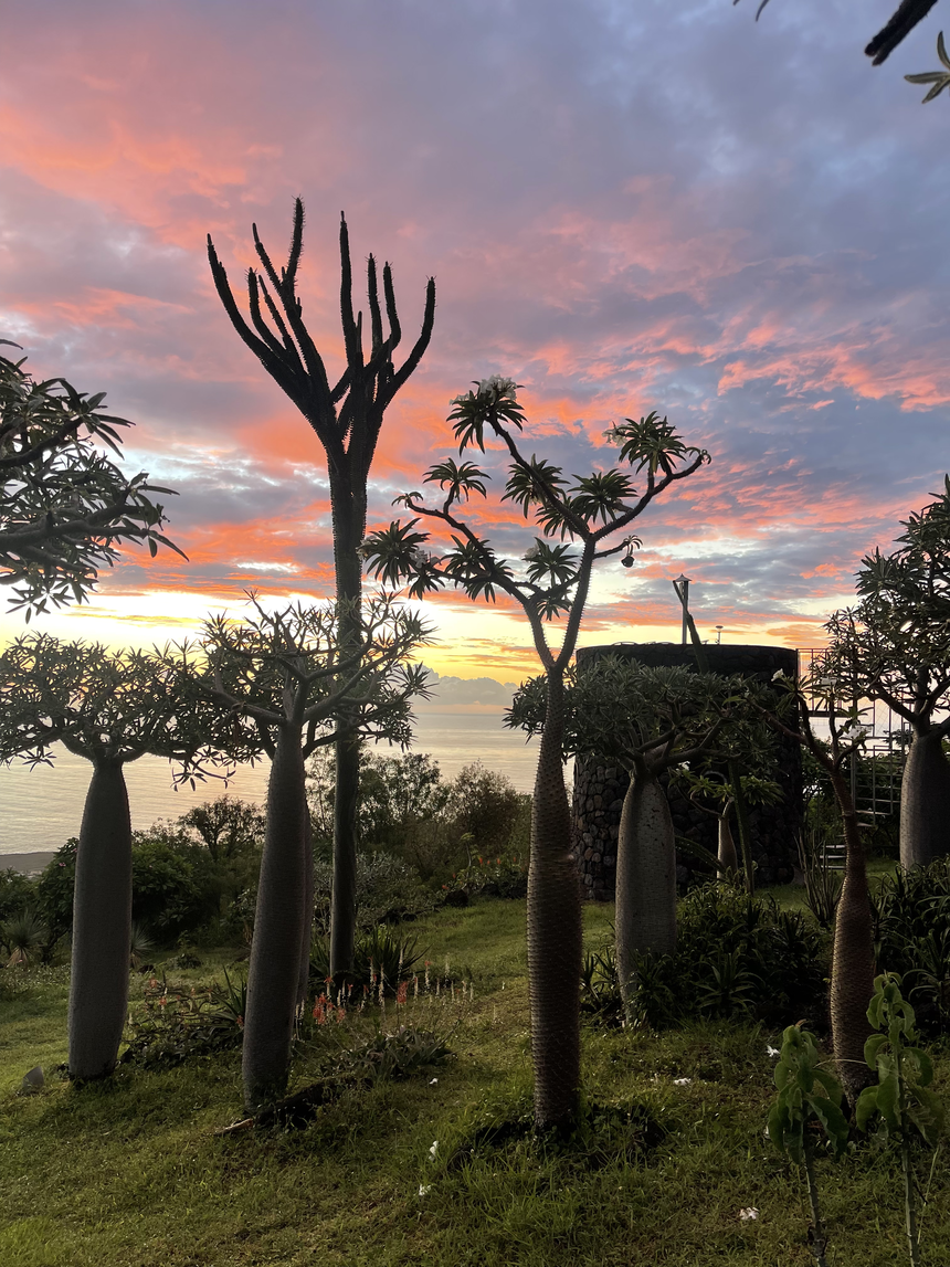 Sunset au Jardin Naturel